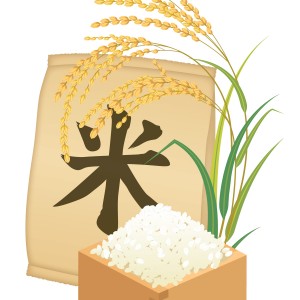 お米の虫対策と保存方法